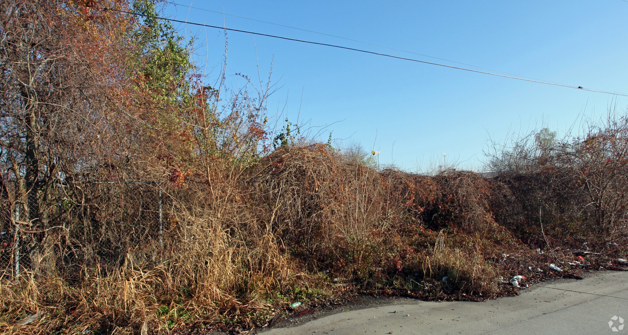 3901 Louisa St, New Orleans, LA for Rent