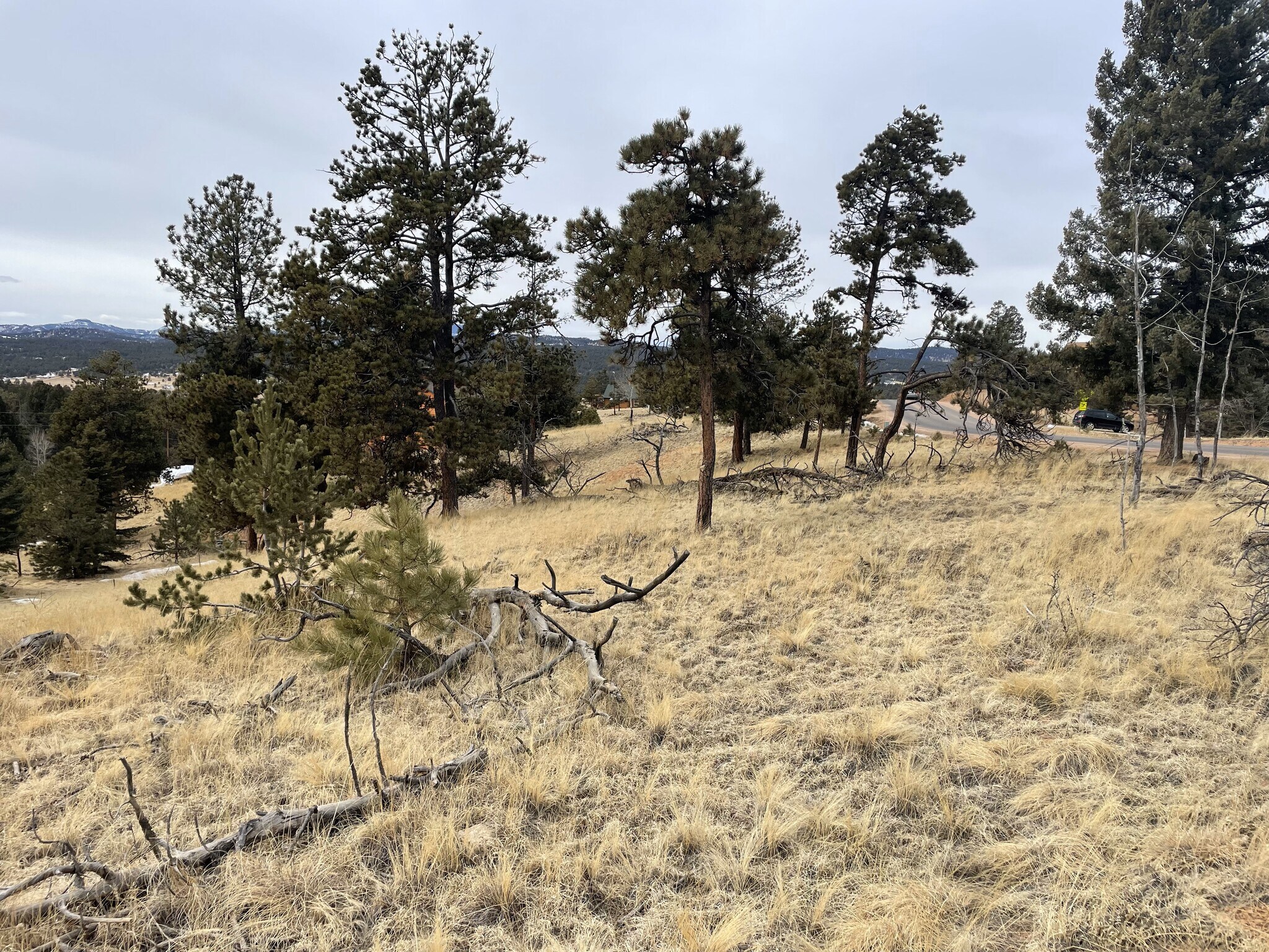 23 Southpark Rd Florissant, CO 80816 Land Property for Sale on