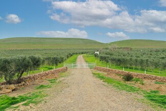 Brentwood, CA Agricultural Land - 18615 Marsh Creek Rd