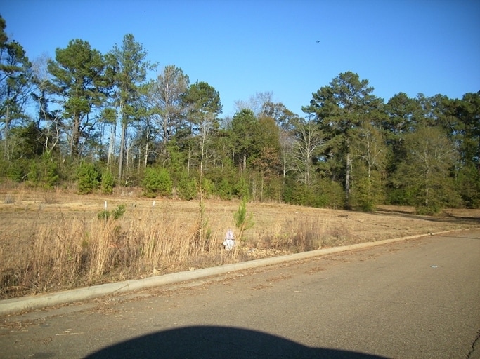 Parklane Rd, Mccomb, MS for Sale