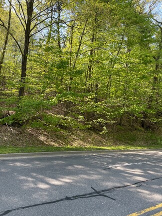 Dickinson, NY Commercial Land - 270 Glenwood Rd