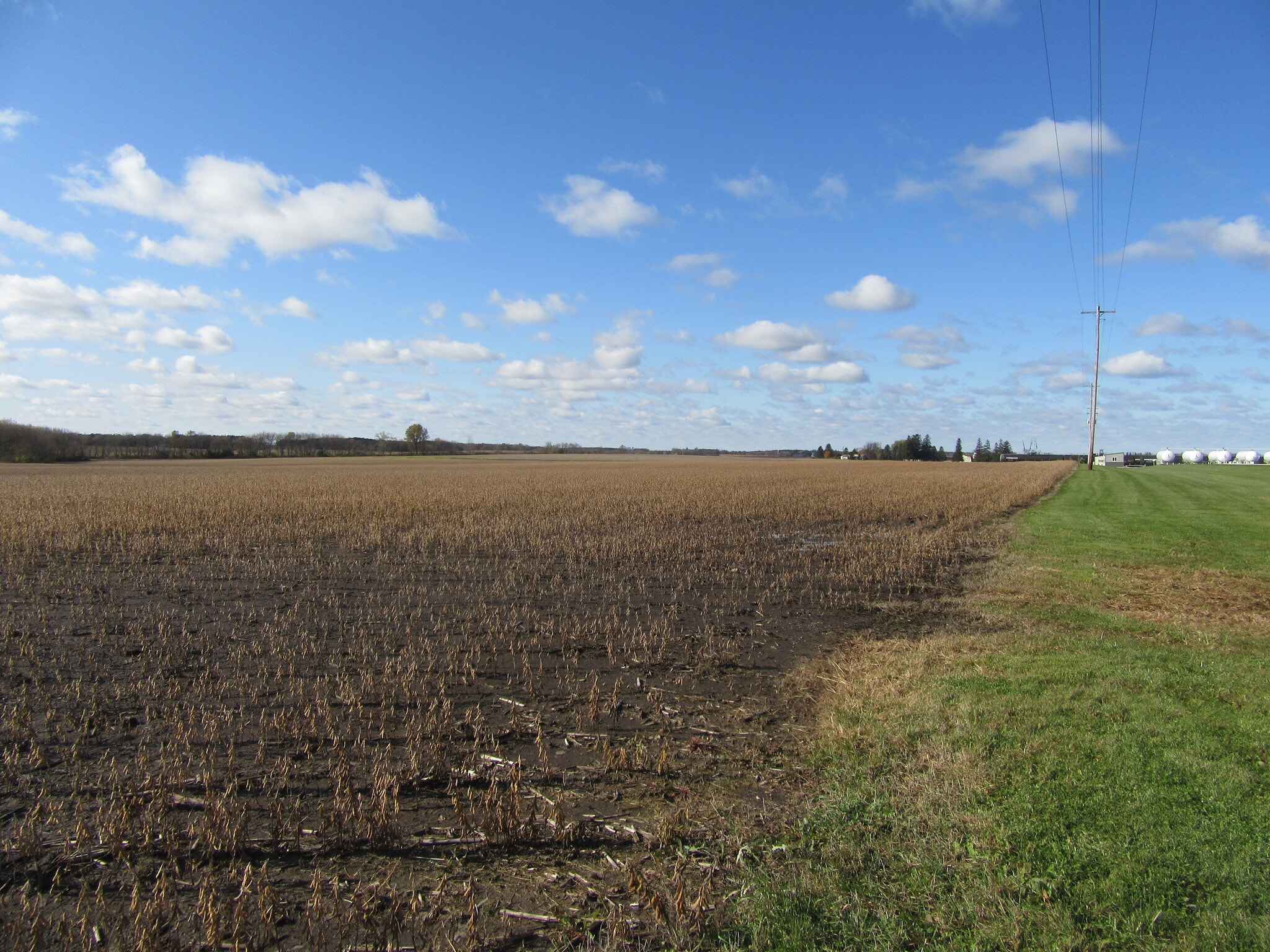 1501 Mn-42, Eyota, MN for Sale