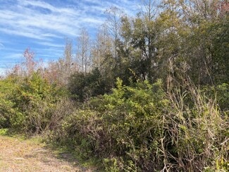 Hudson, FL Commercial Land - 15115 Bluefish St Hudson, FL Commercial Land - 15115 Bluefish St