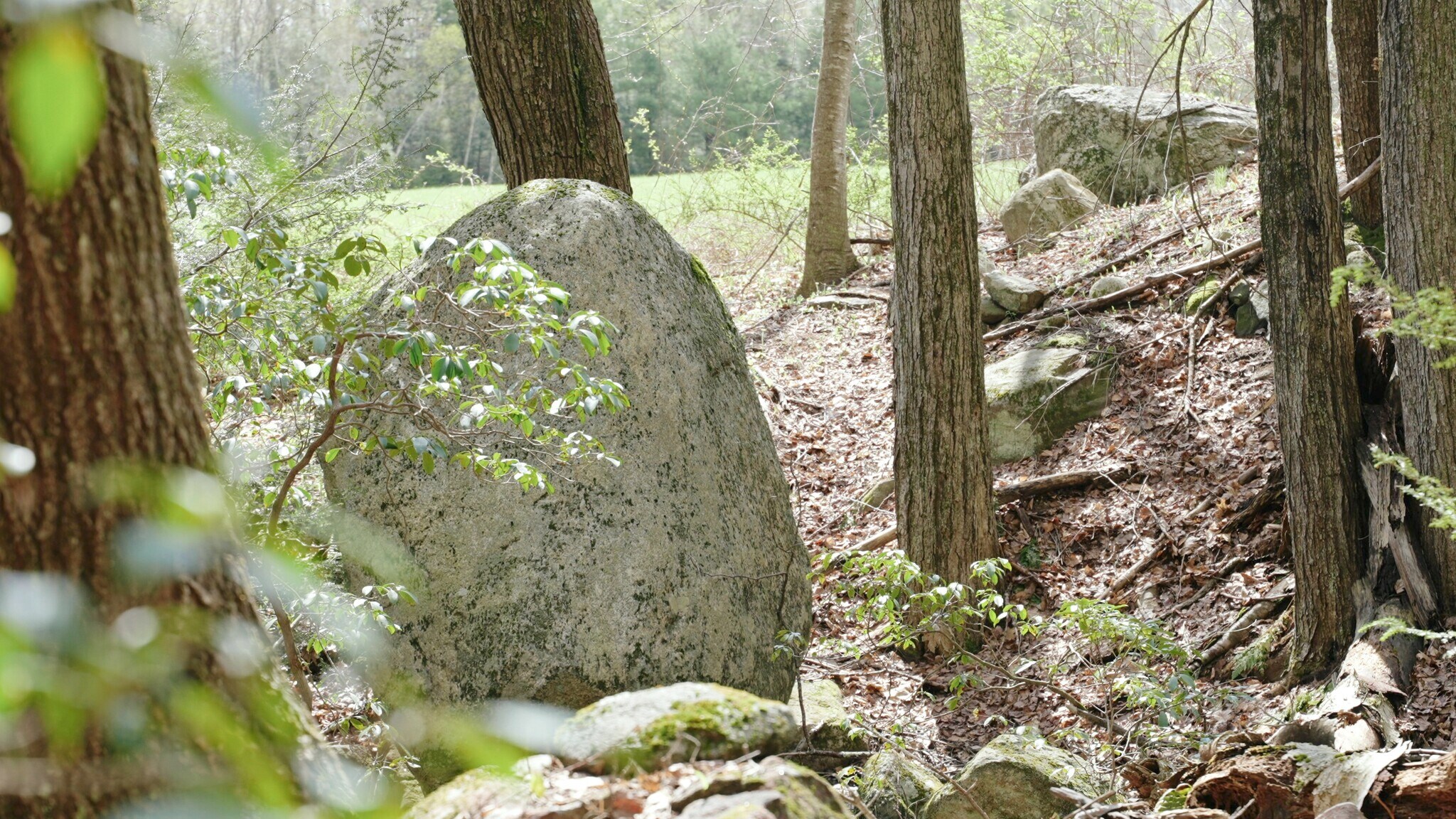 235 Granville North Granby, CT 06060 Land Property for Lease on