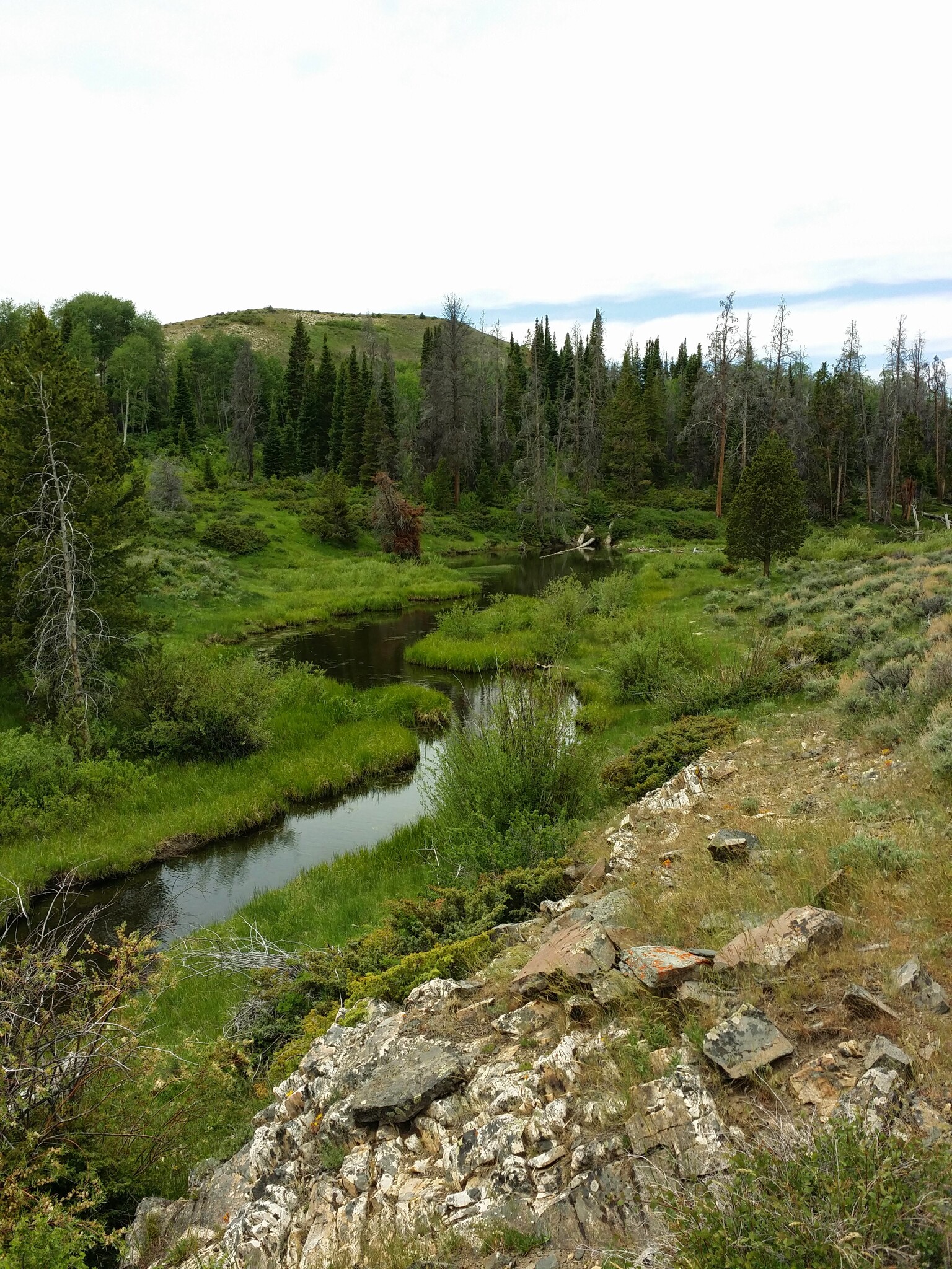 Jack Creek Road, Saratoga, WY for Sale