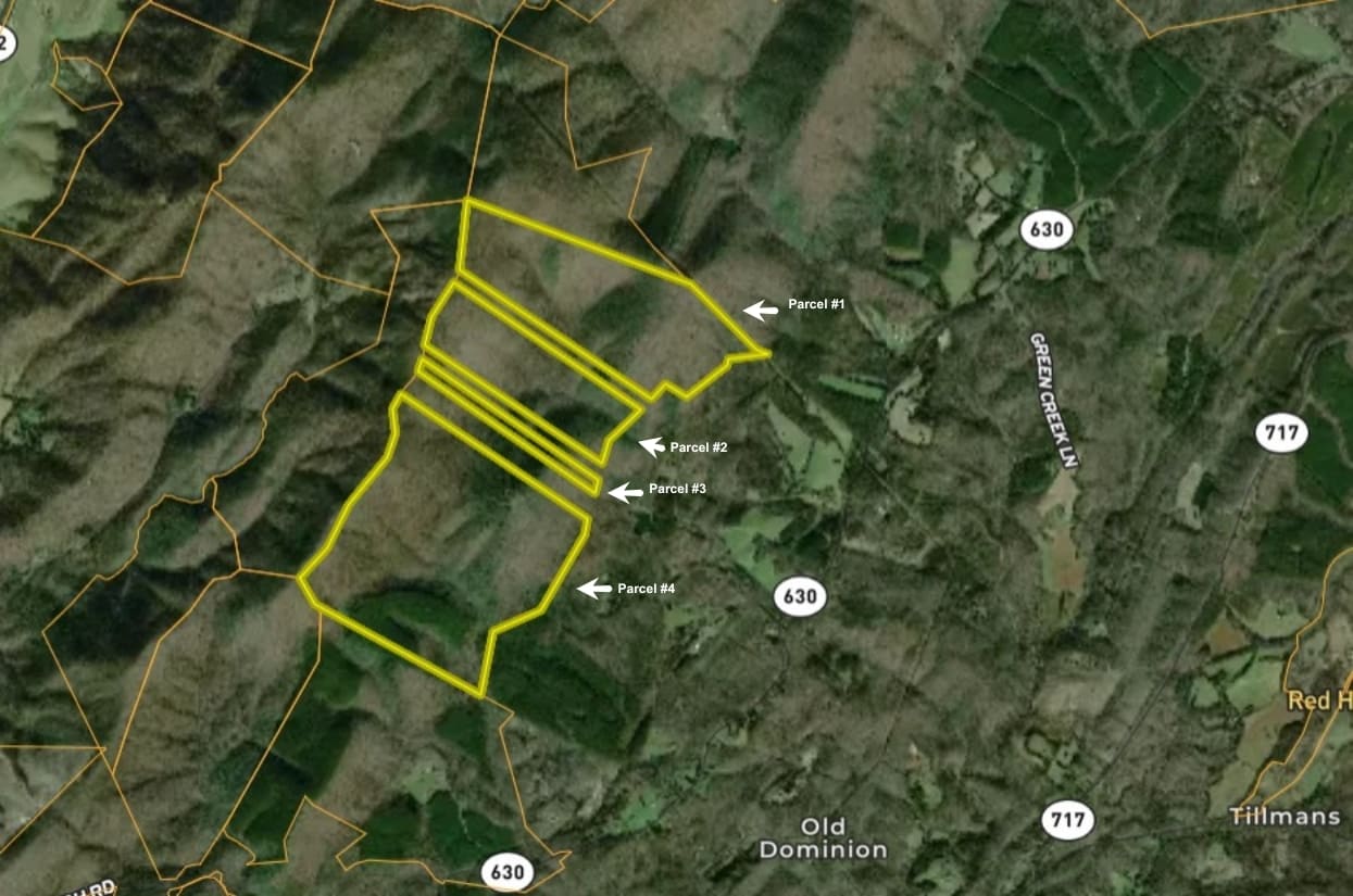 4680 Shiloh Mountain Trl, Schuyler, VA for Sale