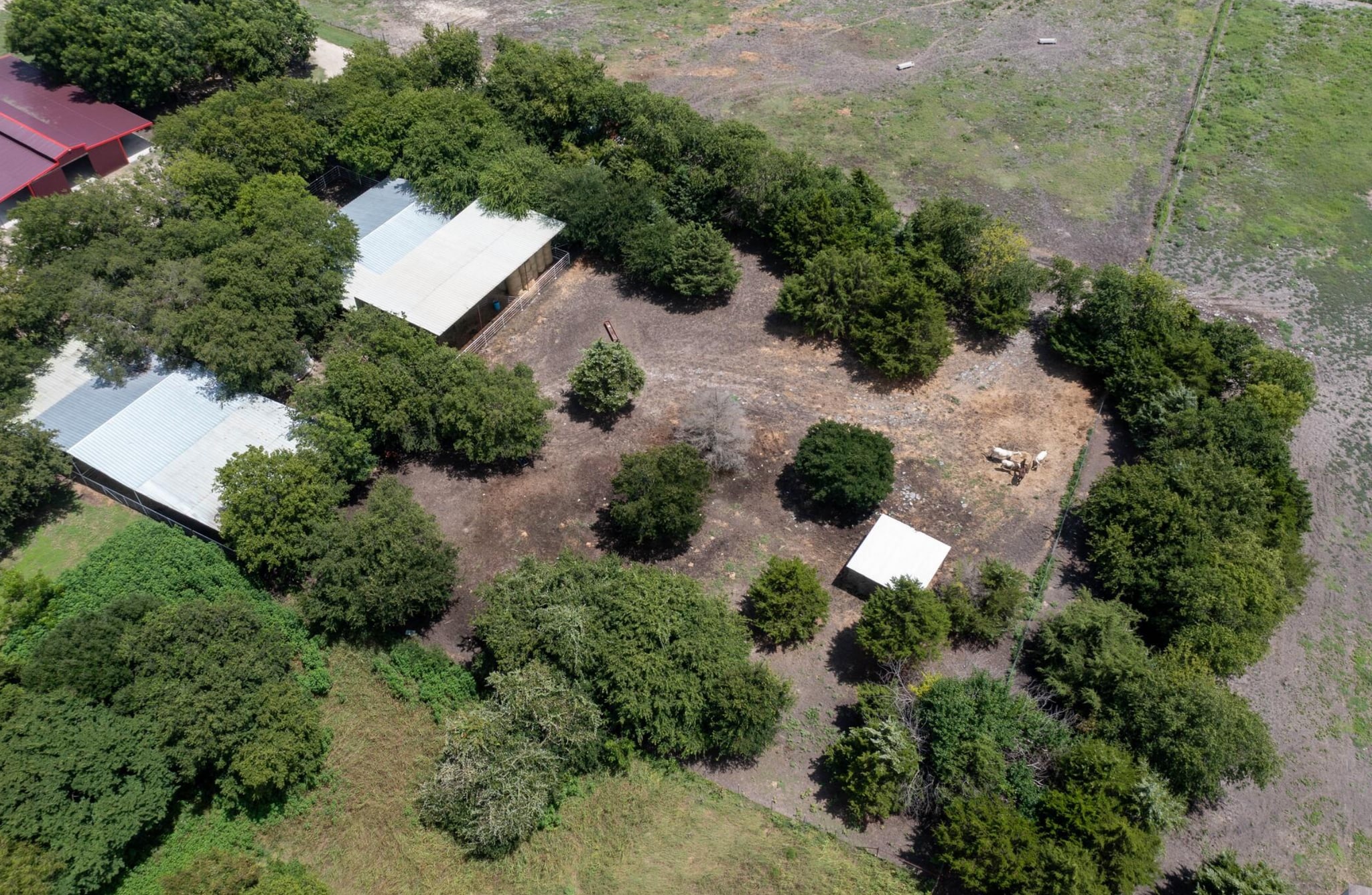 TBD Palmyra Road, Palmer, TX for Sale
