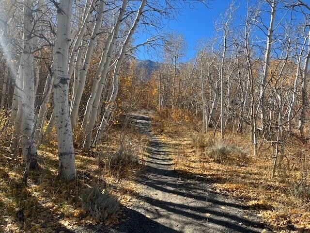 3927 Crowley Lake Dr, Mammoth Lakes, CA for Sale