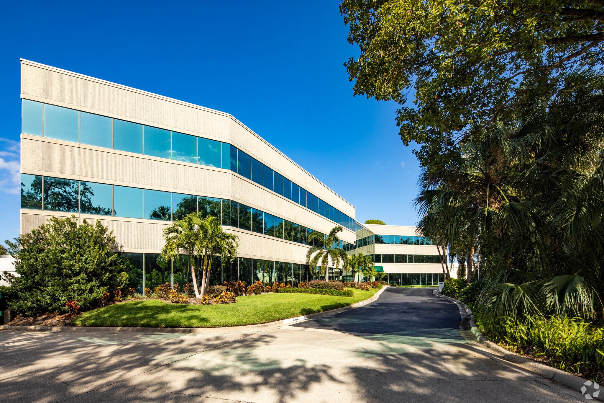 5405 Cypress Center Dr, Tampa, FL for Rent
