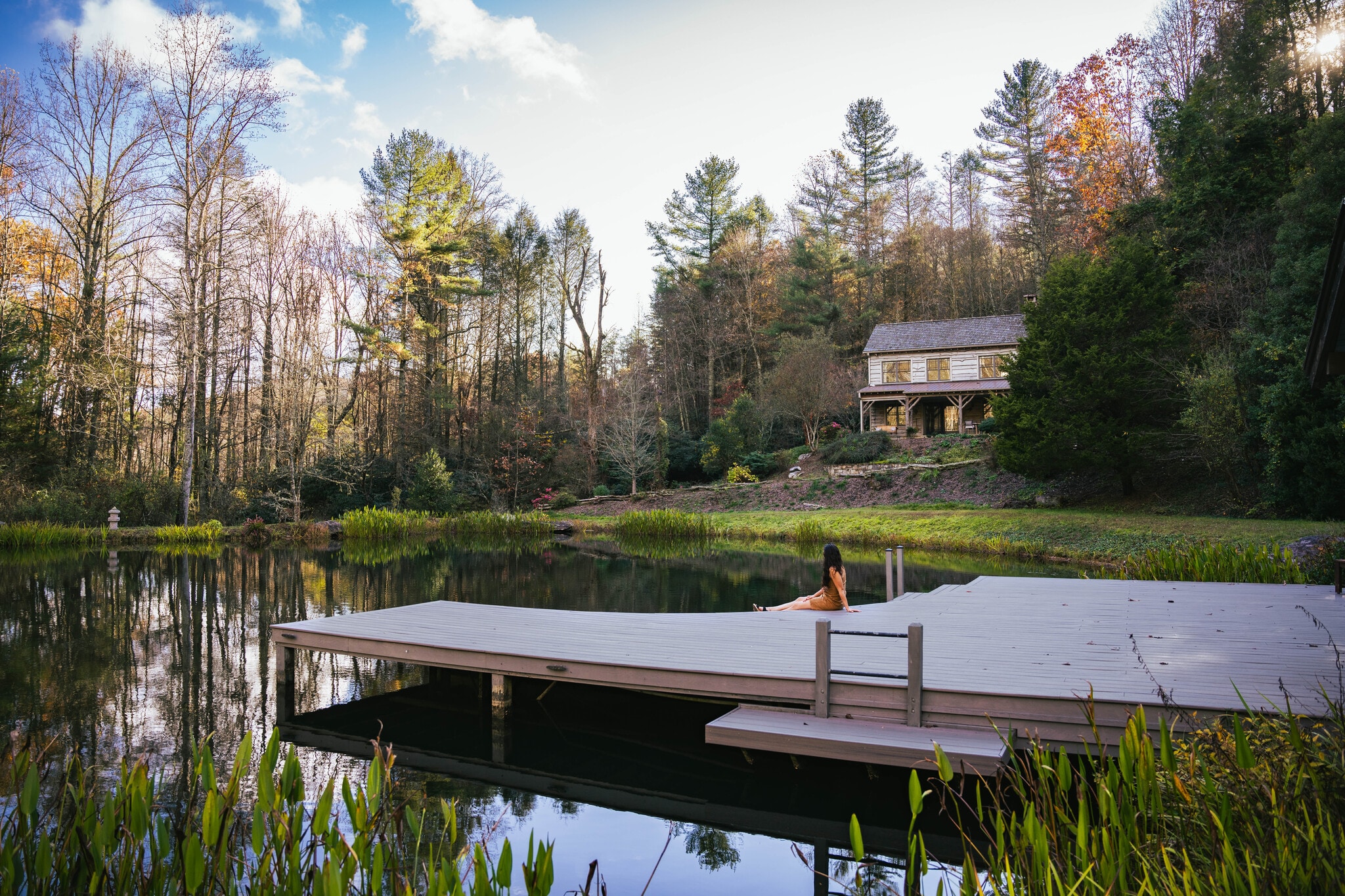 111 Fiddlehead Ln, Zirconia, NC for Sale