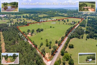 Flint, TX Agricultural Land - 17104 County Road 1100 Flint, TX Agricultural Land - 17104 County Road 1100