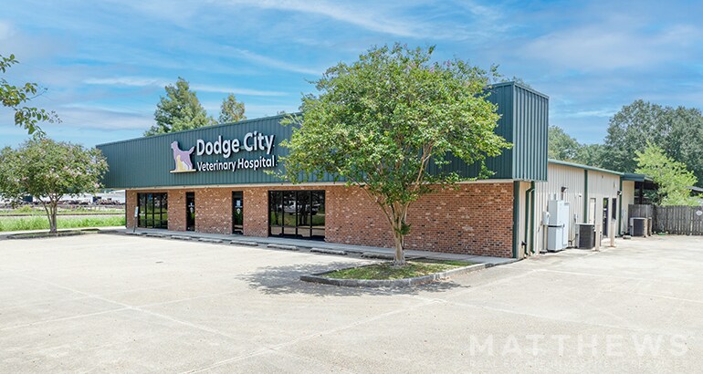 102 Hatchell Ln, Denham Springs, LA for Sale