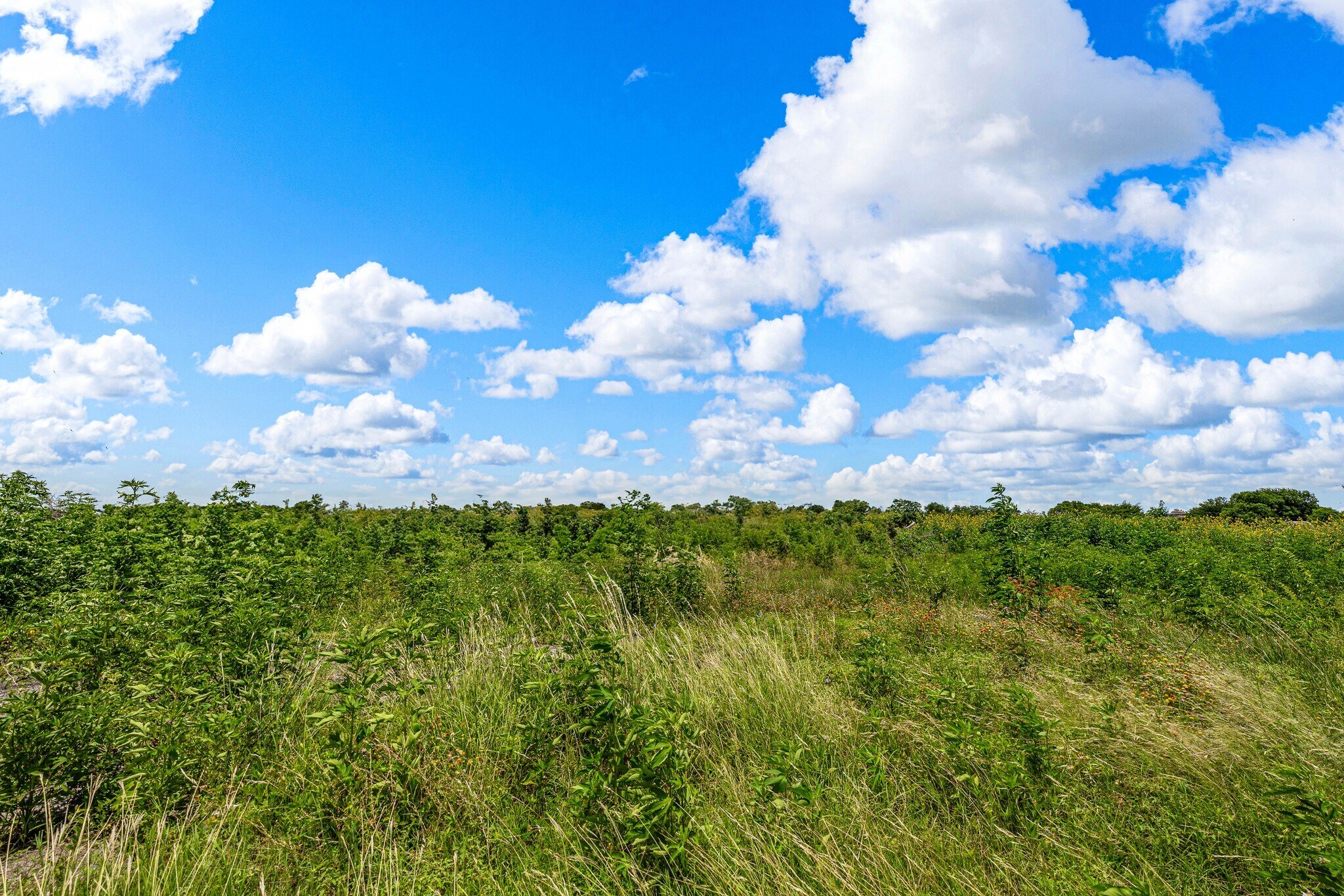 To Be Determined N 18th Street, Waco, TX for Sale