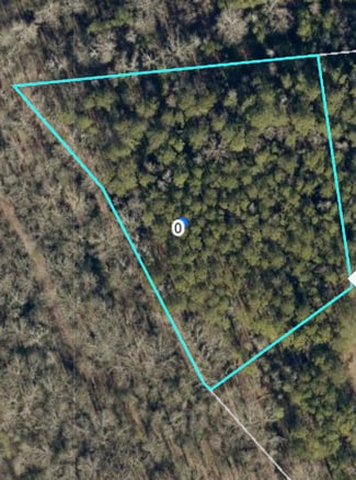 Hwy 138 E Lake Spivey Pkwy  