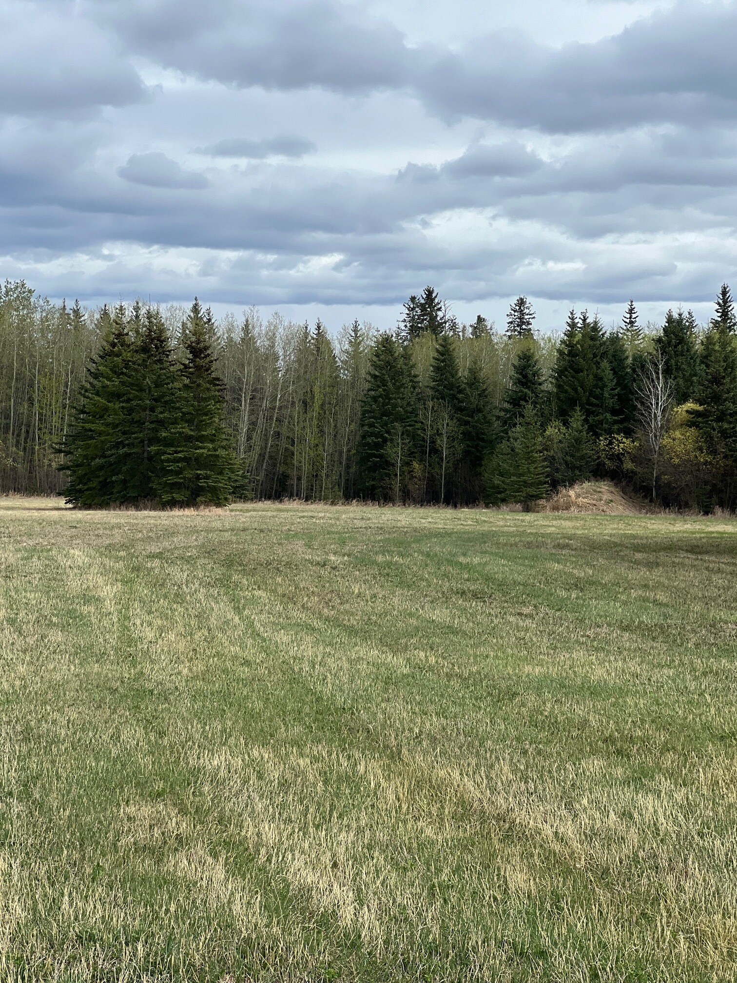 Plan: 9720341 Lot: 3, Grande Prairie, AB for Sale