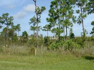 Fort Myers, FL Commercial Land - 4221 Colonial Blvd