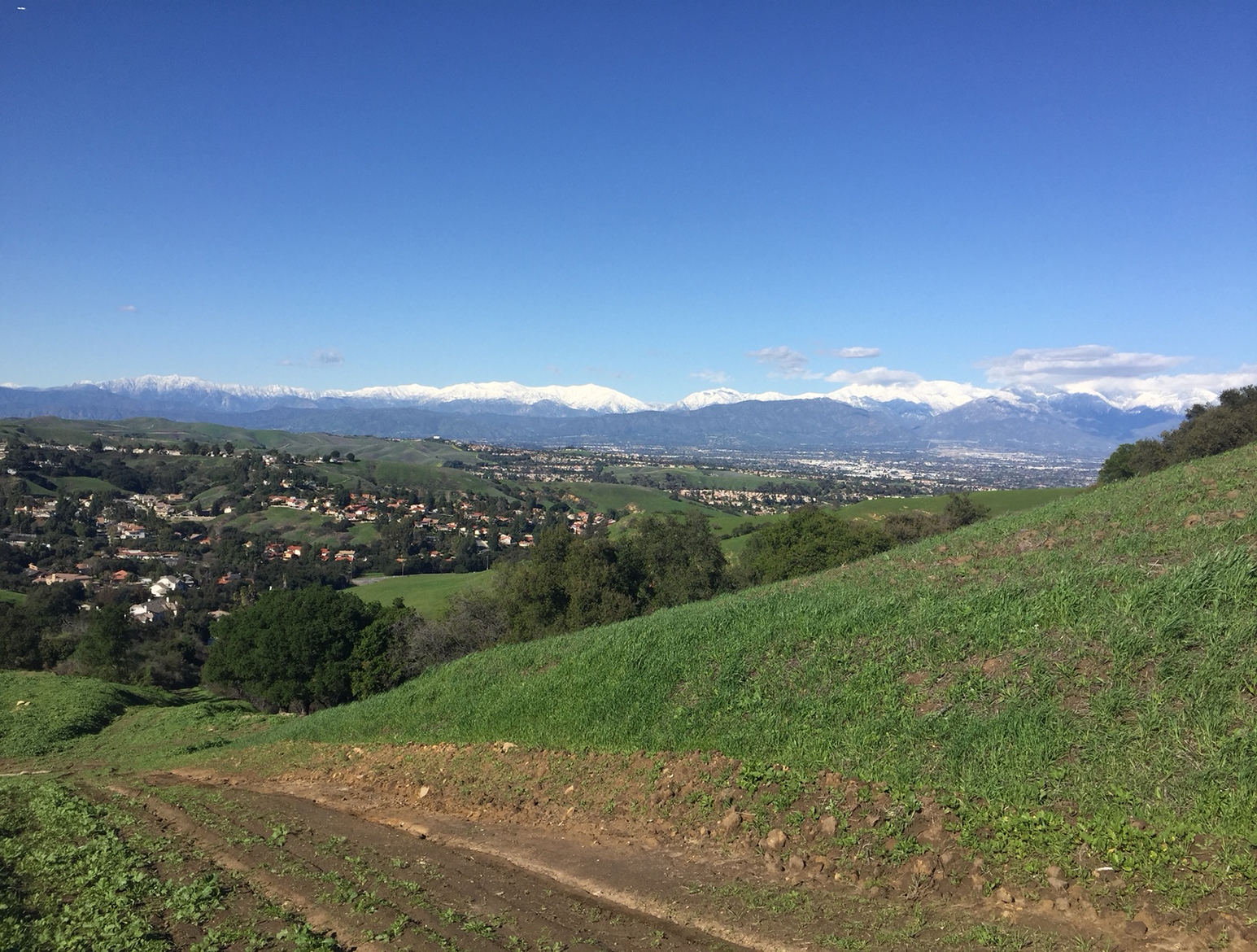 Old Carbon Canyon Rd, Chino Hills, CA for Sale