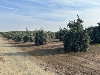 Terra Bella, CA Commercial Land - Road 264-South of 95 ave