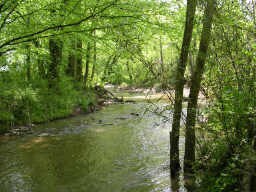 Highway 53 Sandy Bottoms Rd