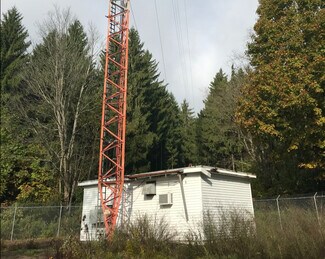 Ellicottville, NY Commercial Land - 7972 Jackman Hill Rd