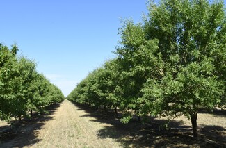 Livingston, CA Agricultural - Hwy 140