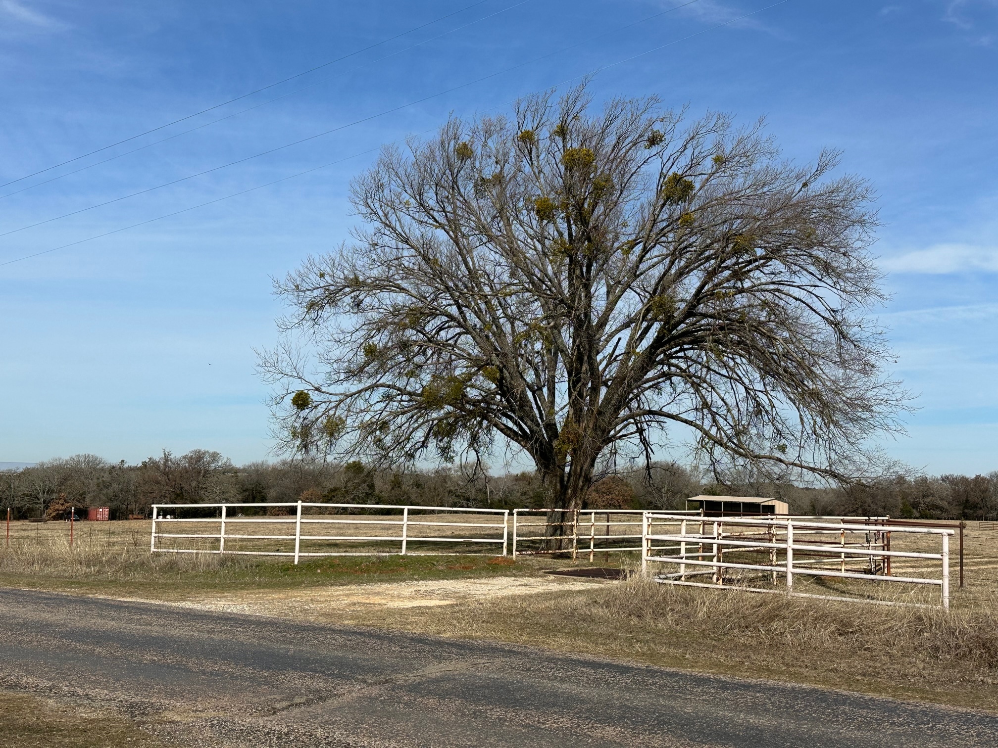 873 Anderson, Whitesboro, TX for Rent