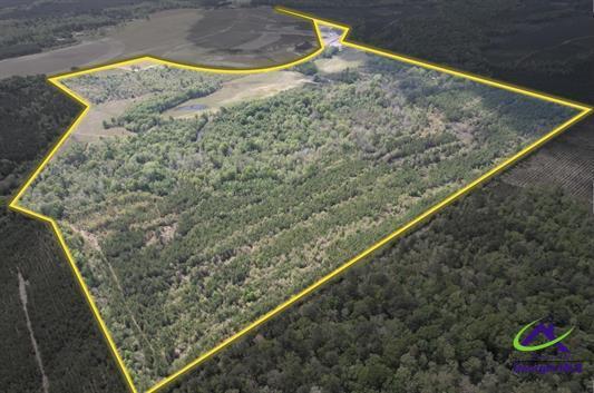 191 Acres Bethel Church Road, Eastman, GA for Sale