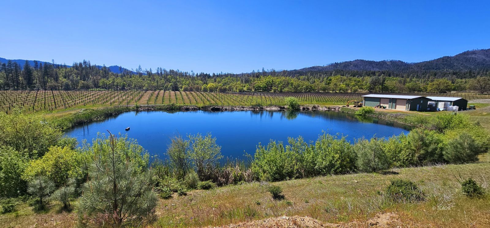 510 Oliva dr, Hayfork, CA for Sale