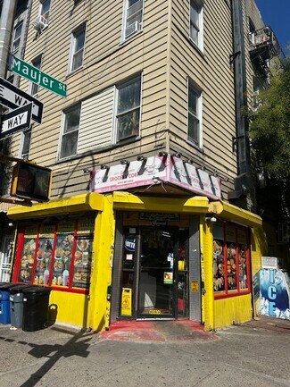 Brooklyn, NY undefined - 139 Maujers St