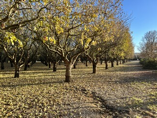 Sutter, CA Agricultural - 9121 Pass Rd Rd