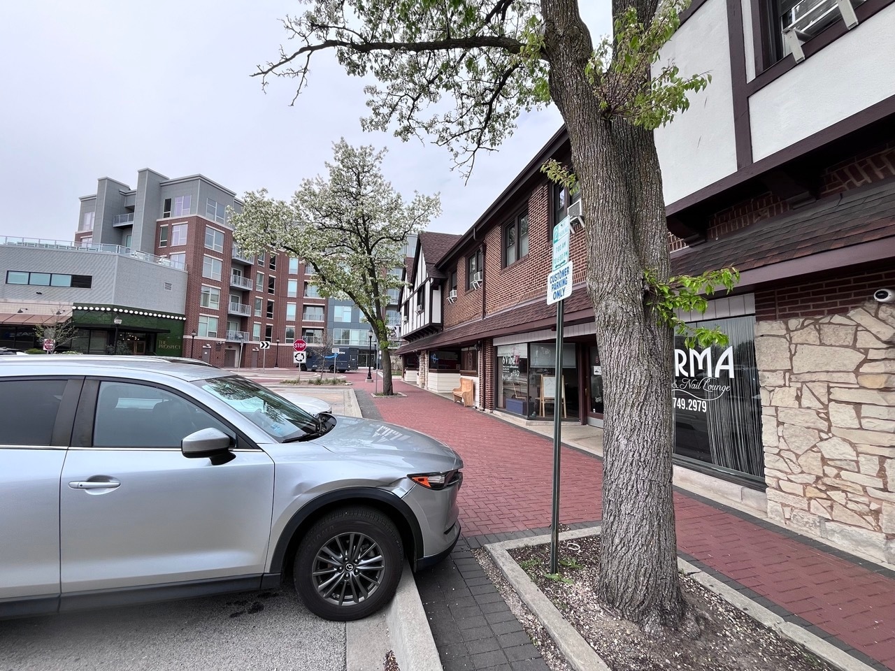 16 W Busse Ave, Mount Prospect, IL for Rent