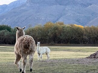 Las Cruces, NM Hospitality - 2200 County Rd D061