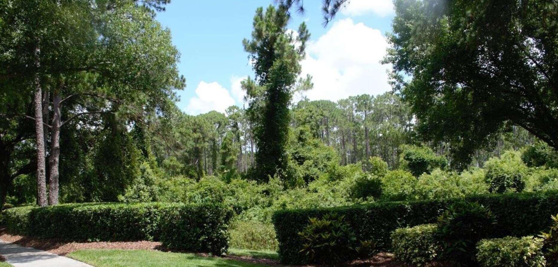 Lake Underhill Rd Orlando, FL 32828 Land Property for Lease on