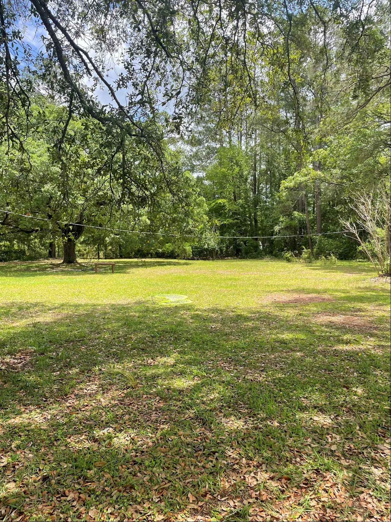 1810 GA Highway 21 S, Springfield, GA for Rent