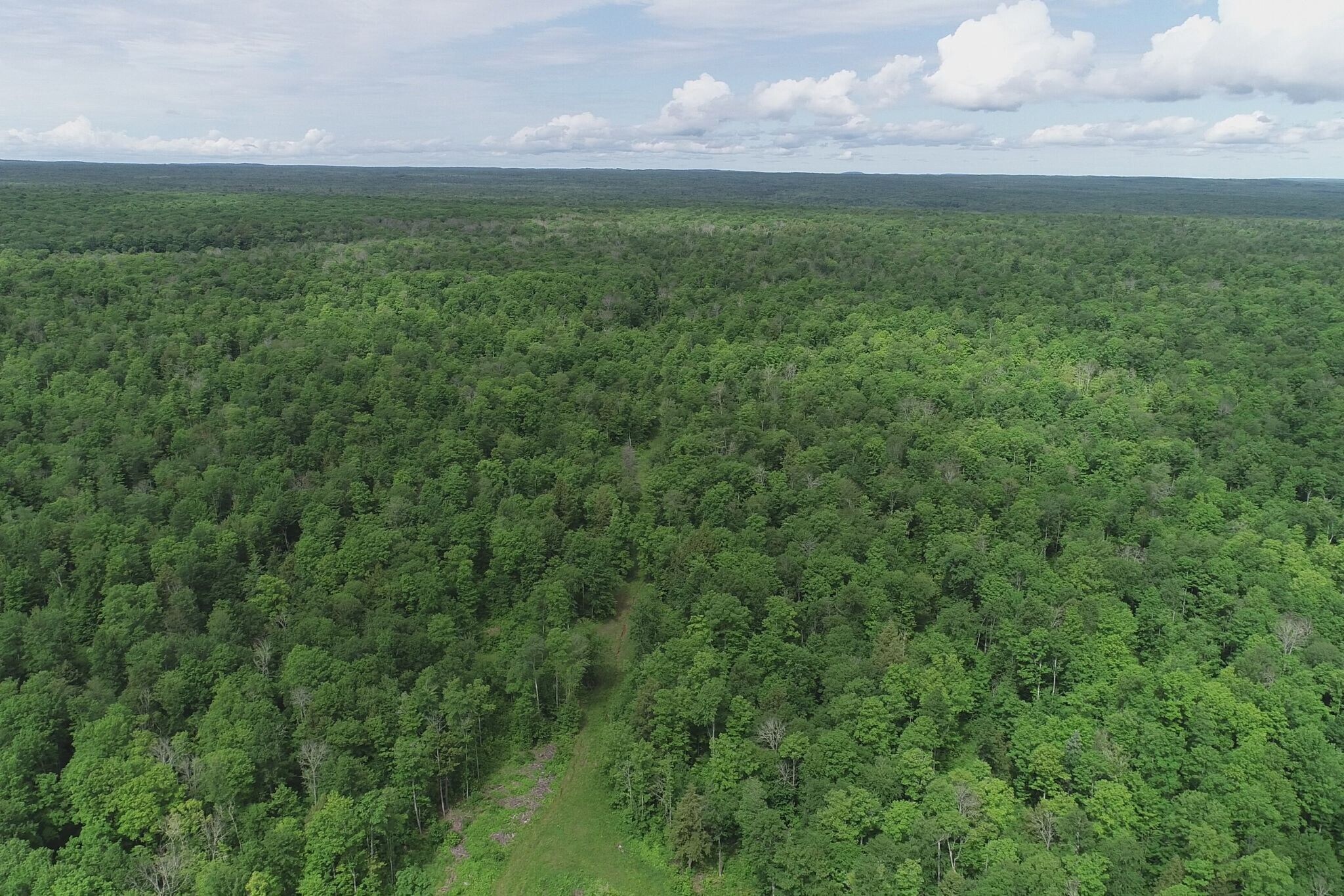 Laird Road Rd, Pelkie, MI for Sale