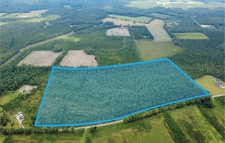 Walterboro, SC Commercial - 0 Cane Branch Rd