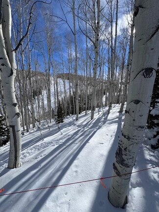 Park City, UT Commercial - Parcels Logan lot 724 - U.P. No.2 lot 724 @ Red Cloud Rd.