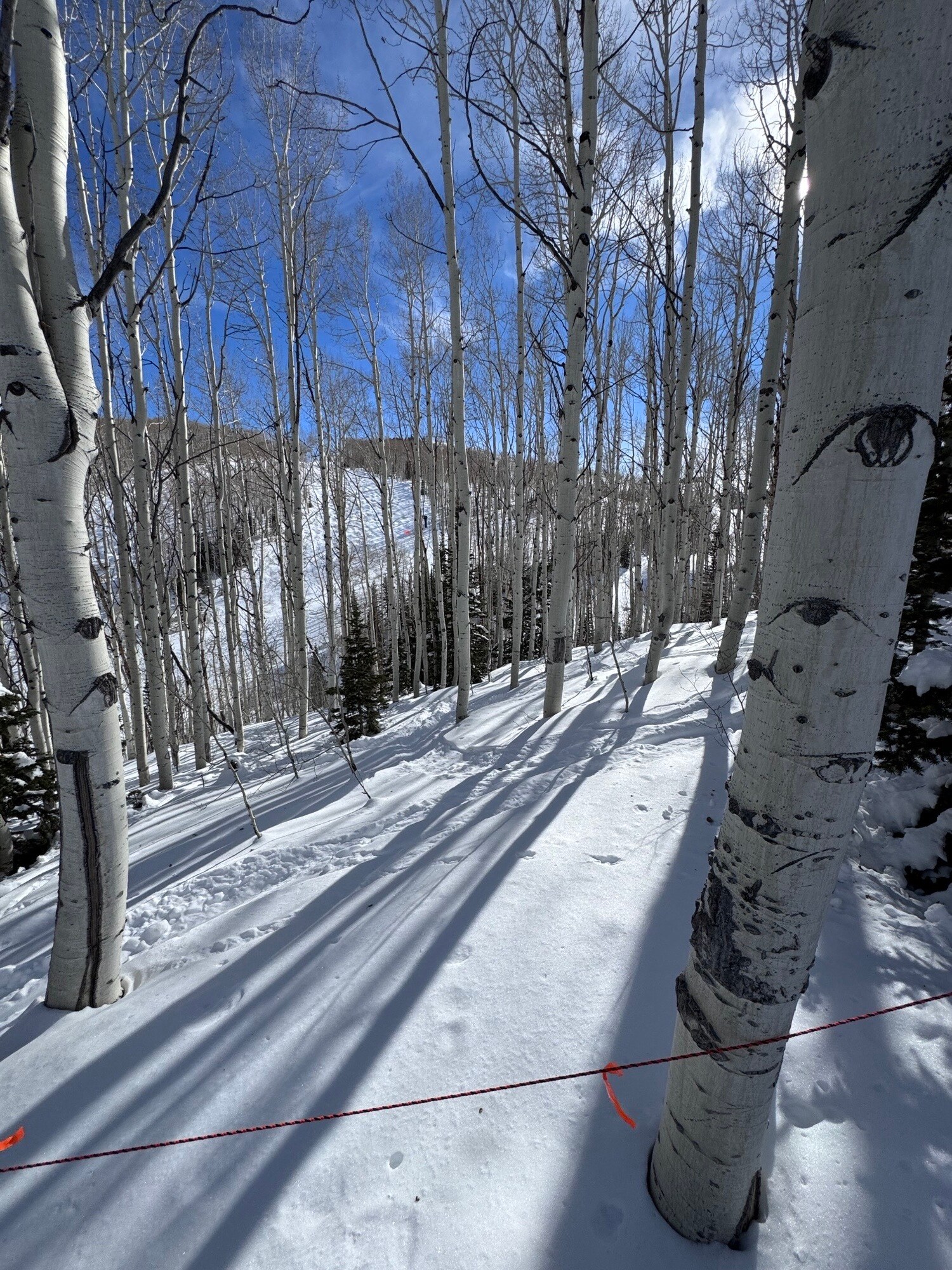 Parcels Logan lot 724 - U.P. No.2 lot 724 @ Red Cloud Rd., Park City, UT for Sale