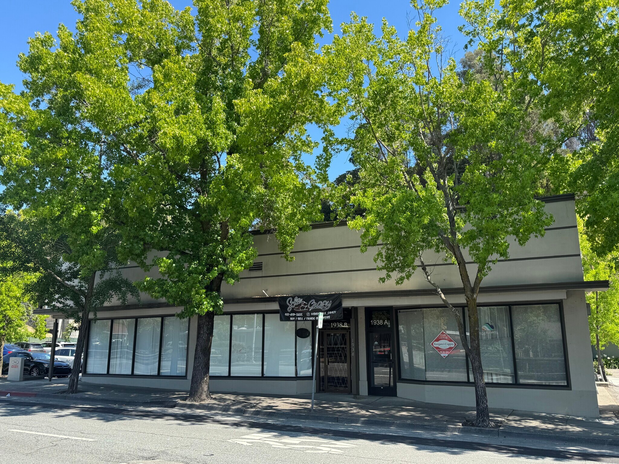 1938 4th St, San Rafael, CA for Rent
