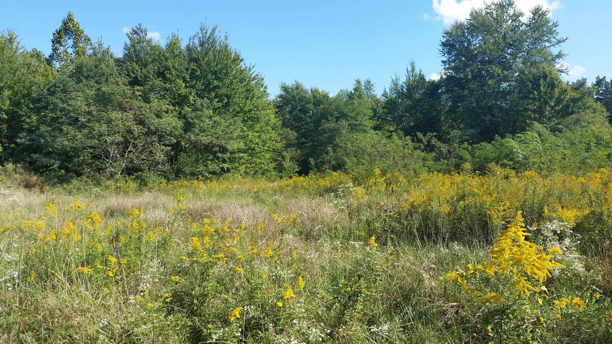 None State Route 132(adjacent to 3354 132) Rd, Amelia, OH for Sale