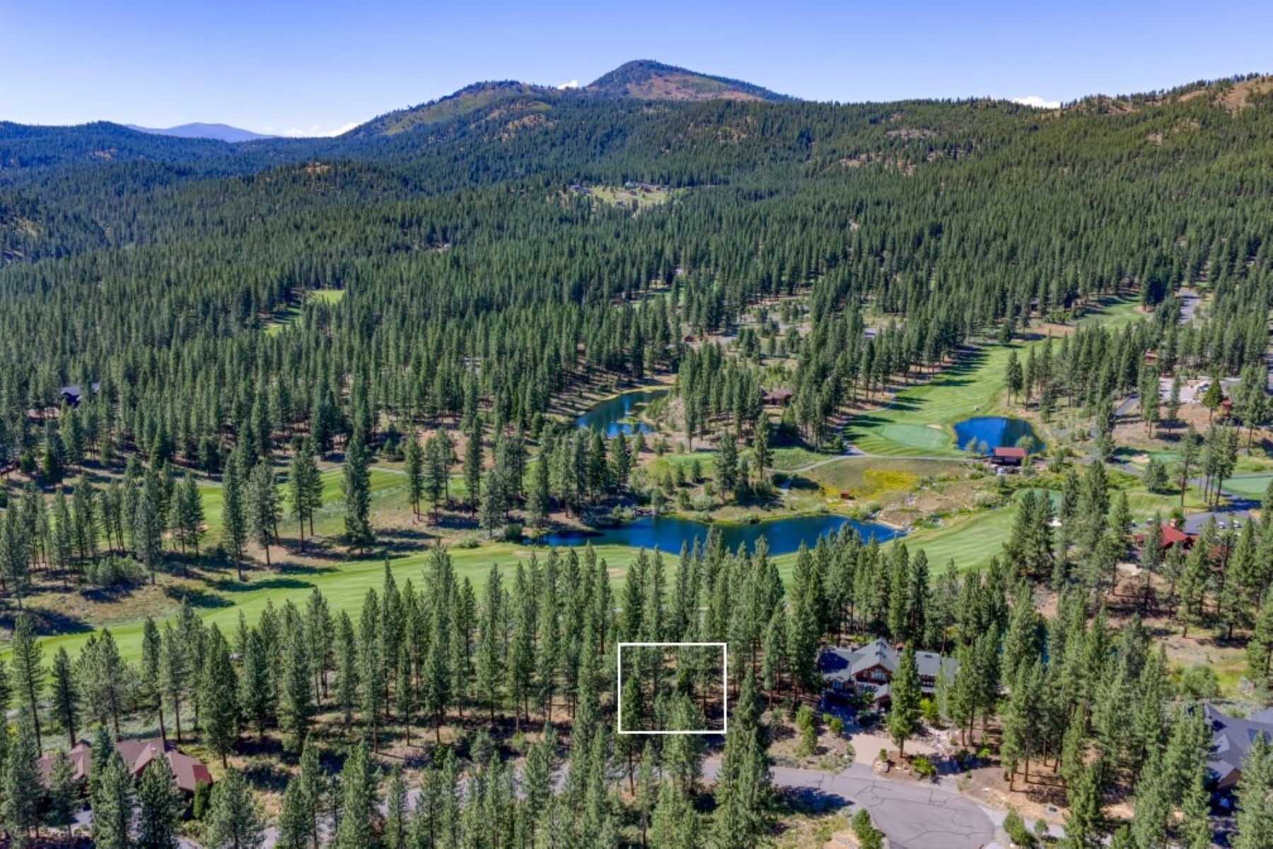 241 Fox Sparrow, Portola, CA for Sale