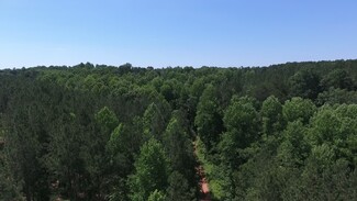 Alto, GA Agricultural - Coon Creek Rd