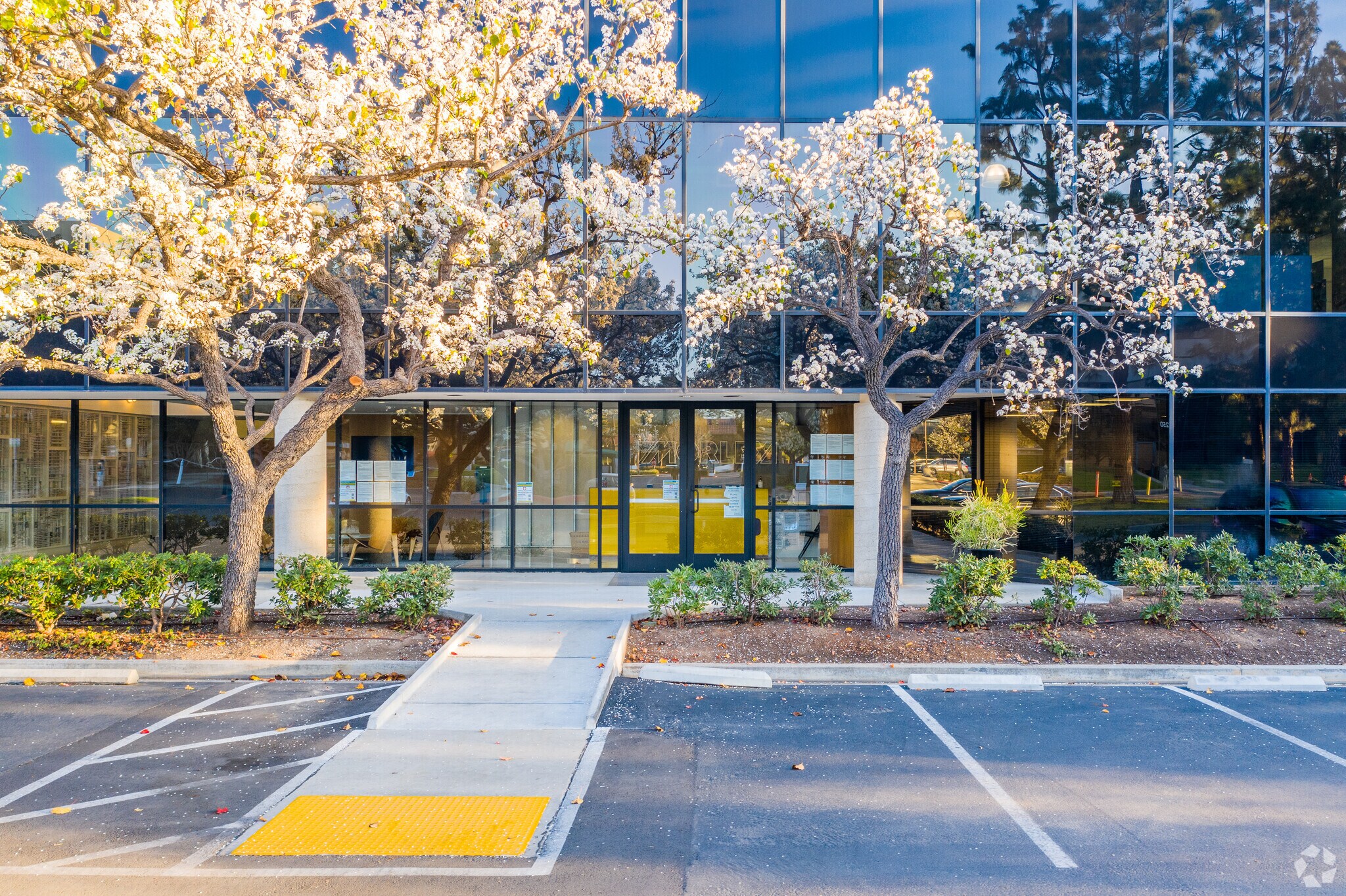 3330 Ocean Park Blvd, Santa Monica, CA for Rent