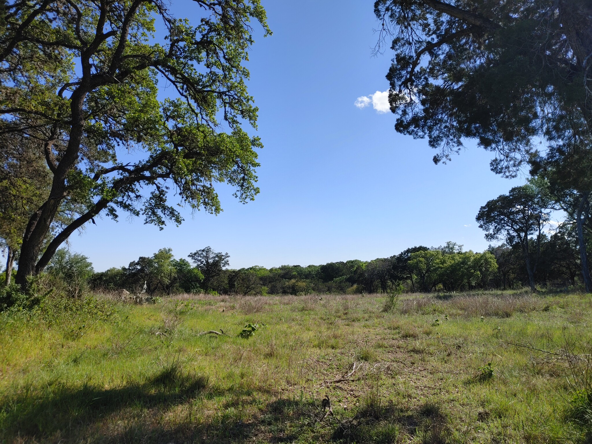 1421 N Walnut St, New Braunfels, TX for Sale