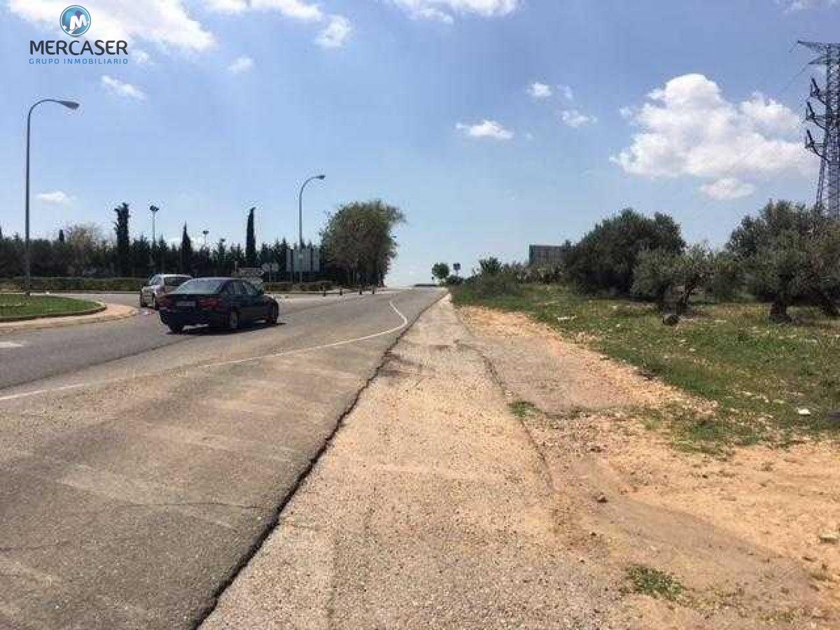5562P Lugar Callejuelas, Cabanillas del Campo, GUA for Sale