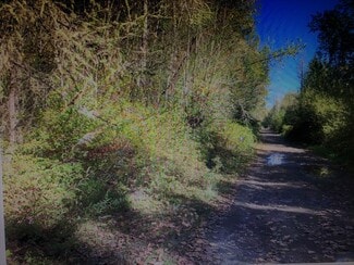 Graham, WA Residential - 20821 Meridian Ave E