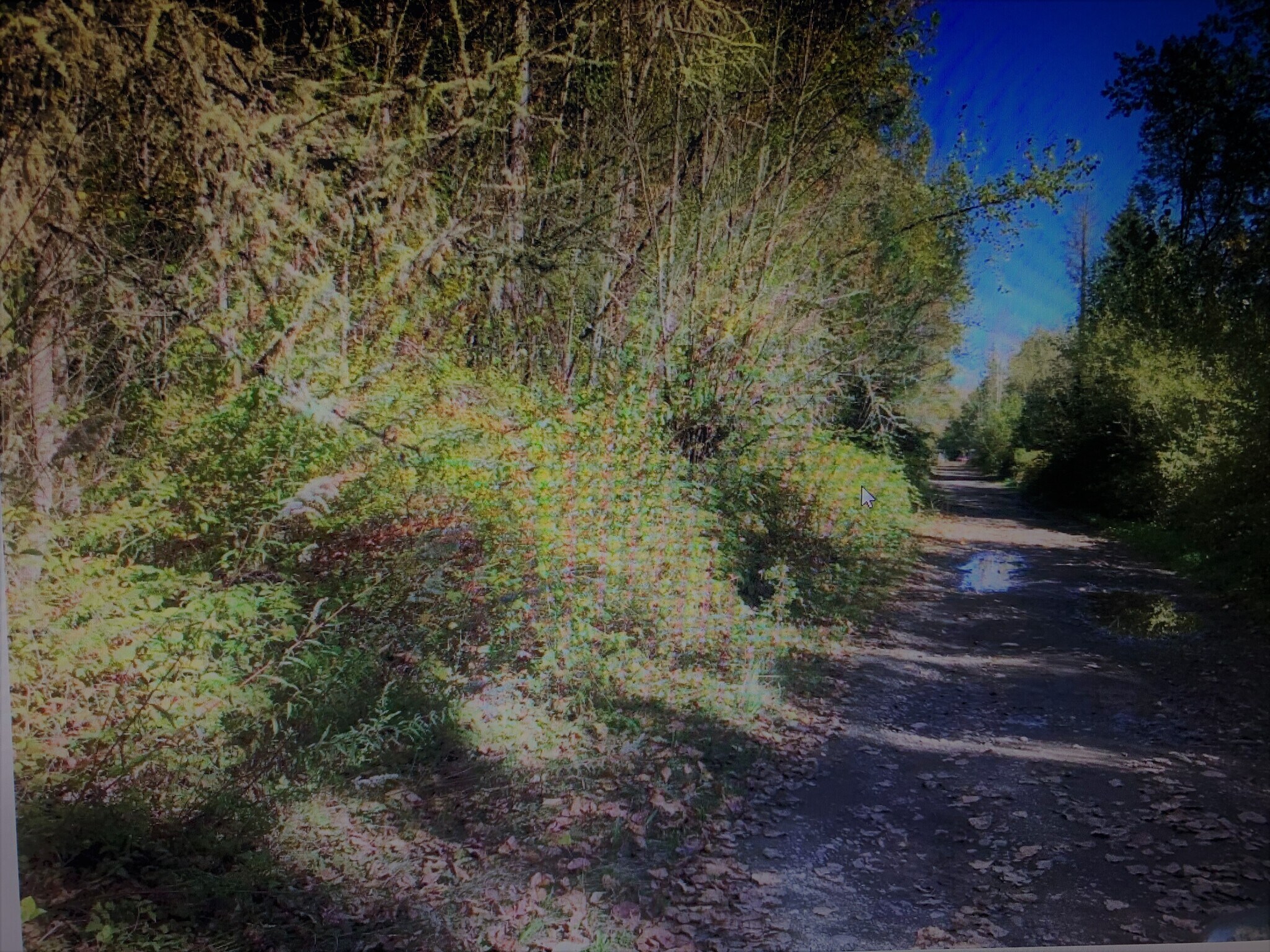 20821 Meridian Ave E, Graham, WA for Sale