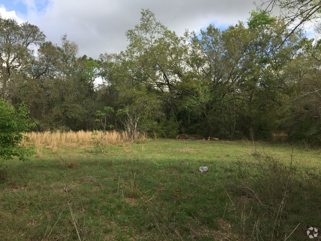 7125 Holly St, Mount Dora, FL for Sale