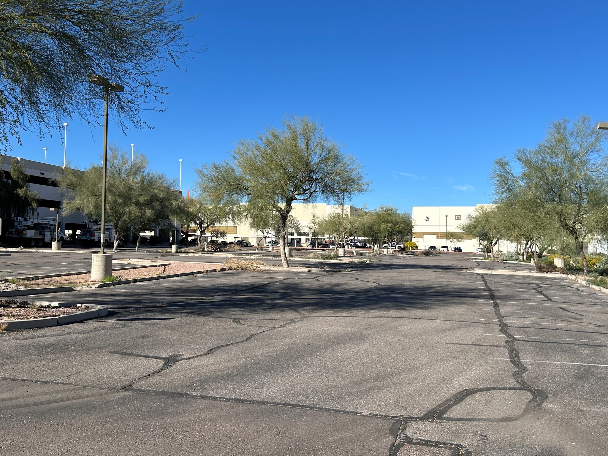 8133 Hardy Dr, Tempe, AZ for Rent