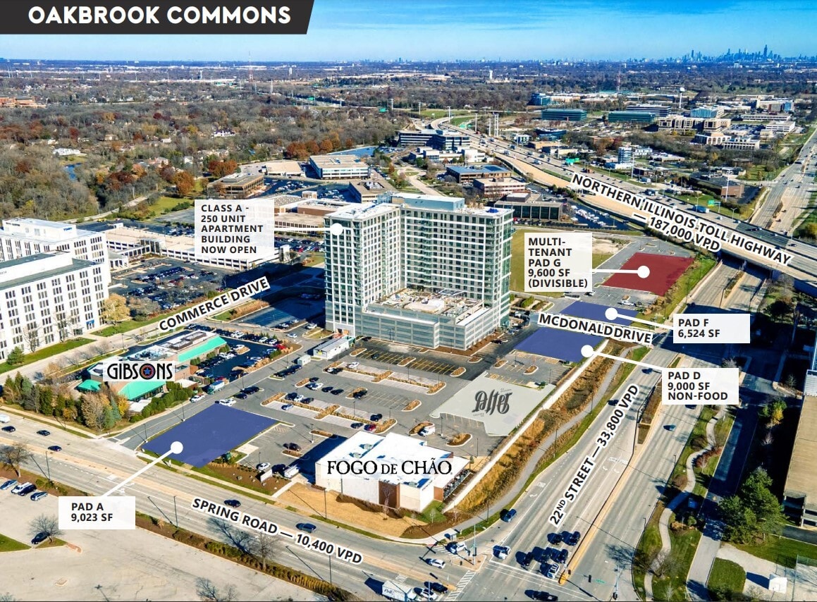 Spring Rd, Oak Brook, IL for Rent